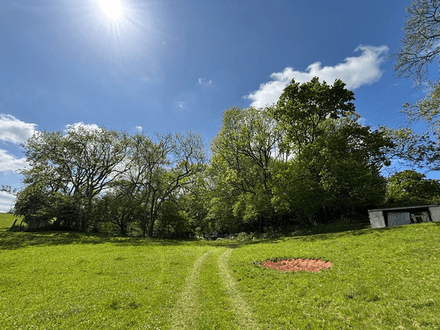 Woodland and Sporting Rights at Eastwood