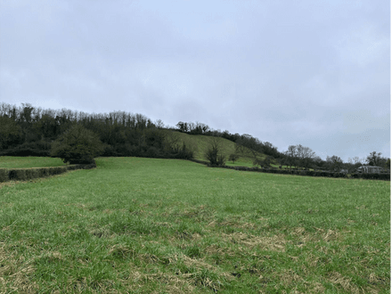 Paddock and woodland at Henton