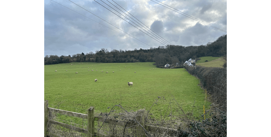 Property Image 0