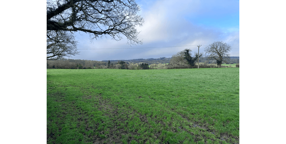Property Image 0