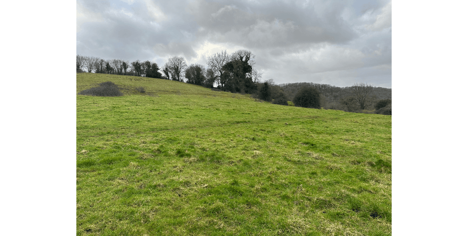 Property Image 0